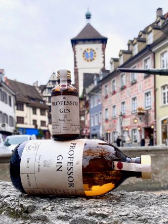 Professor Gin Professor Gin